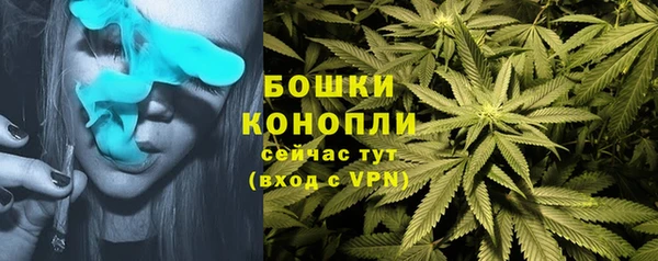 ГАЛЛЮЦИНОГЕННЫЕ ГРИБЫ Рославль