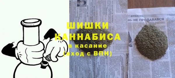 ГАЛЛЮЦИНОГЕННЫЕ ГРИБЫ Рославль