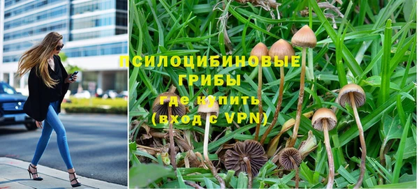 винт Россошь