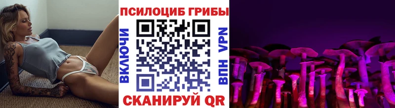 Псилоцибиновые грибы Cubensis  Сольвычегодск 